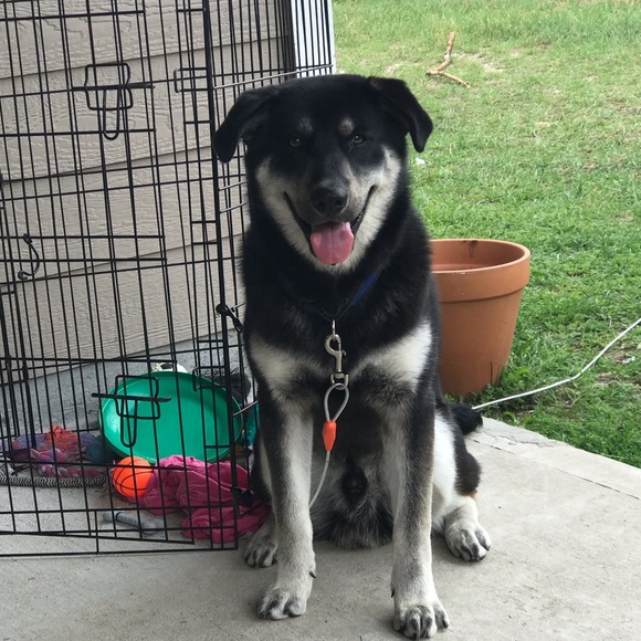 Meet your Posher, Fatima - Picture 1 of 4